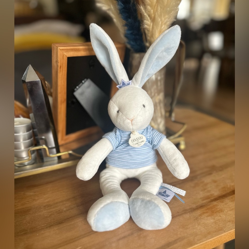 Adorable Blue and White Bunny Plush
